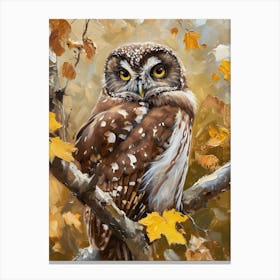 Boreal Owl Painting 4 Canvas Print