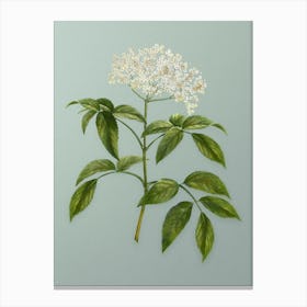Vintage Elderberry Flowering Plant Botanical Art on Mint Green n.0852 Canvas Print