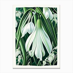 Snowdrop Floral Botanical Vintage Poster Flower Canvas Print