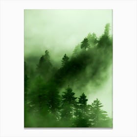 Misty Forest 3 Canvas Print