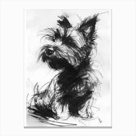 Skye Terrier Dog Charcoal Line 3 Canvas Print