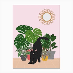 Boho Plants And Cat Canvas Print