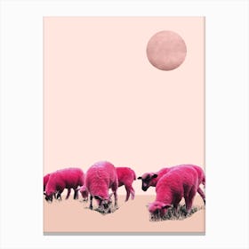 Pink Sheeps On Mars Canvas Print