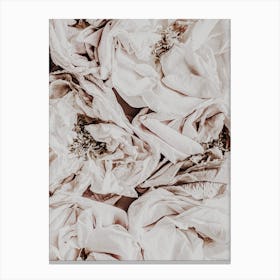 Silk Roses Canvas Print
