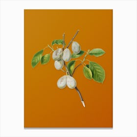 Vintage Plum Botanical on Sunset Orange n.0176 Canvas Print