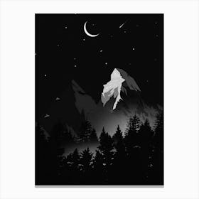 Night Sky Canvas Print