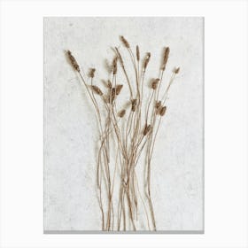 Botanicals From The Field Canvas Print