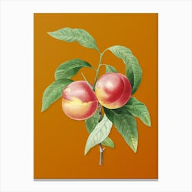 Vintage Peach Botanical on Sunset Orange n.0840 Canvas Print