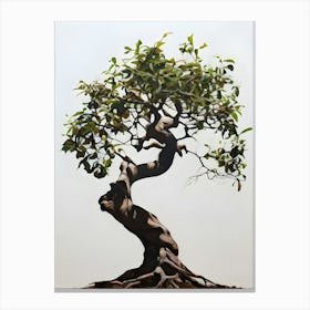 Bonsai Tree 1 Canvas Print