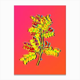 Neon Siberian Pea Tree Botanical in Hot Pink and Electric Blue n.0024 Canvas Print