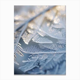 Ice Crystals Canvas Print