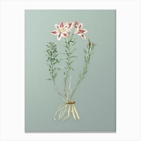 Vintage Lily of the Incas Botanical Art on Mint Green n.0593 Canvas Print