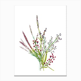 Bouquet Of Wild Flowers Canvas Print