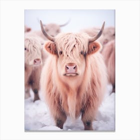 Highland Cow In The Snow Pink Filter Portrait 1 Canvas Print