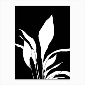 Black And White Plant Canvas Print