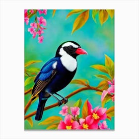Magpie Tropical bird Canvas Print