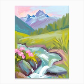 Stream In The Mountains 2 Canvas Print