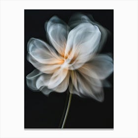 Flower In Motion 2 Canvas Print