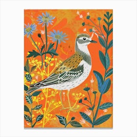 Spring Birds Grey Plover 1 Canvas Print