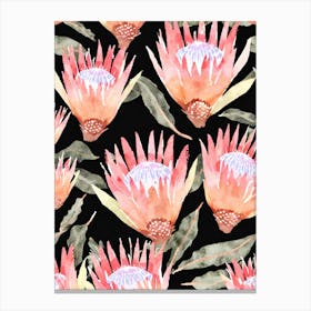 Proteas Canvas Print