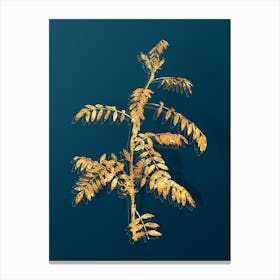 Vintage Flowering Indigo Plant Botanical in Gold on Teal Blue n.0138 Canvas Print