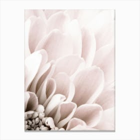 Pink Flower_2066807 Canvas Print