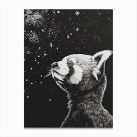 Red Panda Looking At A Starry Sky Ink Illustration 2 Canvas Print