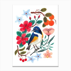 Red Flanked Bluetail Canvas Print