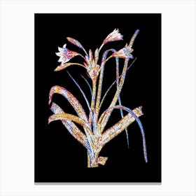 Stained Glass Malgas Lily Mosaic Botanical Illustration on Black n.0285 Canvas Print