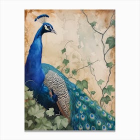 Watercolour Sepia Peacock With The Ivy Canvas Print