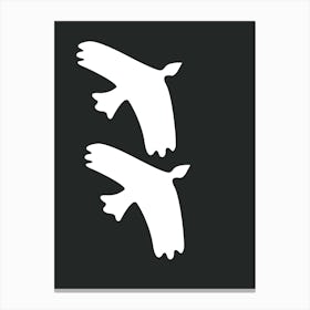 Two Birds Flying Canvas Print