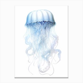 Irukandji Jellyfish Drawing 3 Canvas Print