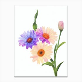Gerberas Watercolour Flower Canvas Print