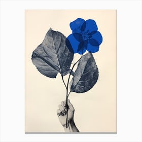 Blue Botanical Hydrangea 1 Canvas Print