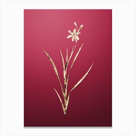 Gold Botanical Ixia Anemonae Flora on Viva Magenta Canvas Print