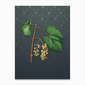 Vintage Friulli Grape Botanical on Slate Gray Pattern n.1308 Canvas Print