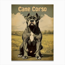 Cane Corso Canvas Print