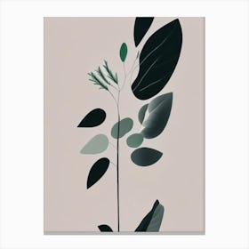 Licorice Herb Simplicity Canvas Print