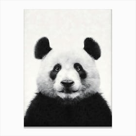 Panda Bear Canvas Print