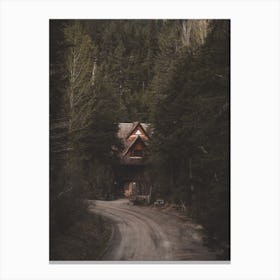 Road To Nature Cabin Canvas Print