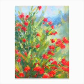 Bottlebrush Plant 2 Impressionist Painting Canvas Print