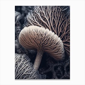 Mushroom Photography 9 Canvas Print