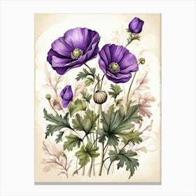 Purple Poppy Mallow Wildflower Vintage Botanical 1 Canvas Print