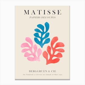 Floral matisse 4 Canvas Print