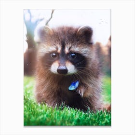 Racoon And Blue Butterfly In Green Grass Canvas Print