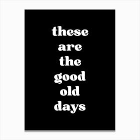 These Are The Good Old Days Canvas Print