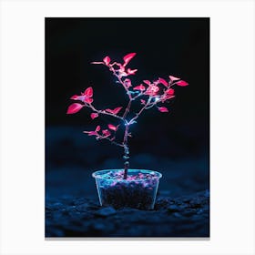 Small Plant In A Pot Canvas Print