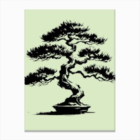 Bonsai Tree Canvas Print