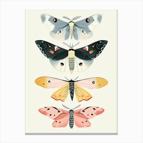 Colourful Insect Illustration Moth 28 Canvas Print