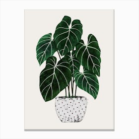 Philodendron plant 2 Leinwandbild